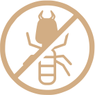 Borer and termite-resistant