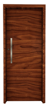 veneer door 1